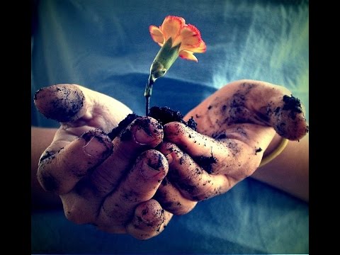 Твори добро