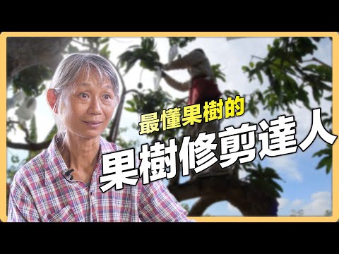 【台南官田】果樹修剪達人陳佩雲 傳授修剪技術 | 有機無毒 | 322 | #美麗心台灣