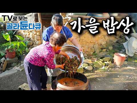 제대로 가을 맛 보여줄 손맛 고수들을 찾아 나선 기행|가을 내음 가득 담긴 가을 한 그릇|가을에만 먹을 수 있는 가을 제철 시골 밥상 모음|한국기행|#골라듄다큐