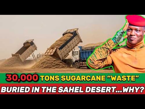 What’s REALLY Behind Traoré’s Plan to Bury 30 Million Tons of Sugarcane Waste in the Sahel Desert?