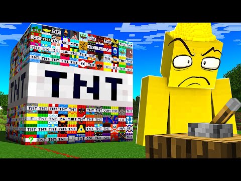 I Made TNT Crazier To Troll My Friend