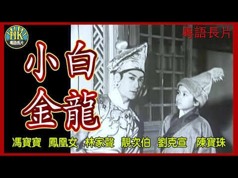 《粵語長片》小白金龍 (1961)|馮寶寶|鳳凰女|林家聲|靚次伯|劉克宣|陳寶珠|導演:馮峰|香港電影|香港粵語電影|粵語中字