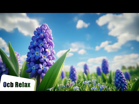 12 Hours of Relaxing Sleep Music | Calming Piano | Angeline
