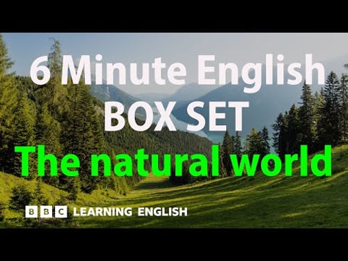 BOX SET: 6 Minute English - 'The natural world' English mega-class! 30 minutes of new vocabulary!