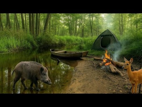 Lonely camping on an island, river rafting, fishing and overnight stay ASMR