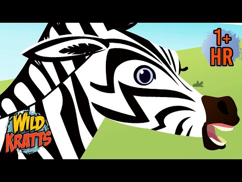 Giraffes, Zebras, and Lions | Savanna Safari Adventure | Wild Kratts | 9 Story Kids