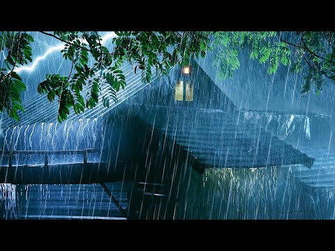Peaceful Rain Sounds for Sleep Soft Rainfall for Calm Mind & Body #19
