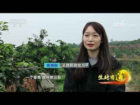 《生财有道》 20230324 四川仁寿:致富一方的柑橘| 财经风云