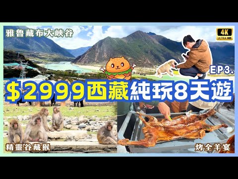 香港機場往返|西藏純玩8天遊🌟$2999自費實測|雅魯藏布大峽谷|精靈谷藏猴|藏式烤羊宴|臥底旅行團|八達旅遊長線旅遊團|EP3