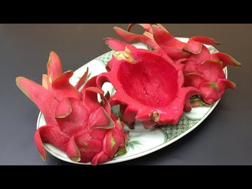 Dragon Fruit Peels Are A TREASURE. Don't Throw Them Away!