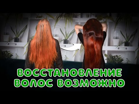 Восстановление волос возможно! Почему уход за волосами не приносит желаемый результат?