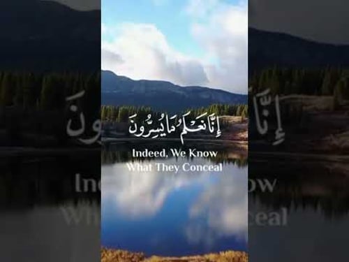 سبحان الله و بحمده سبحان الله العظيم اللهم صل وسلم على نبينا محمد #قران #قران_كريم