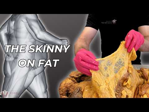 What Fat REALLY Does in Your Body (It’s Not What You Think)