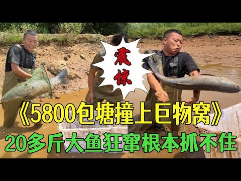 A fish weighing over 20 kilograms was caught in a pond with a 5800-acre enclosure; it was impossi...