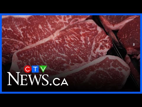 With the rising cost of meat, how much do we need it in our diet?