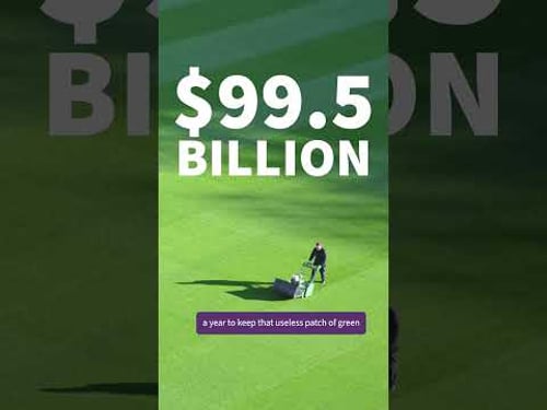 Lawns Suck and Here's Why