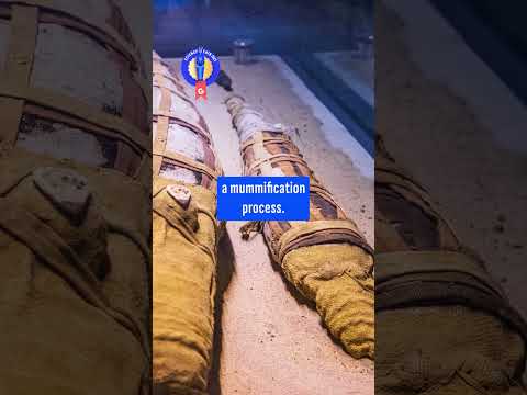 Scientists Recreate the Smell of Ancient Mummies Without Touching Them | 2025 Gizmodo Science Fair