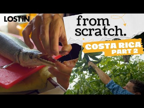 The Hardest Ingredients to Source | Inside Costa Rica’s Wild Food Culture