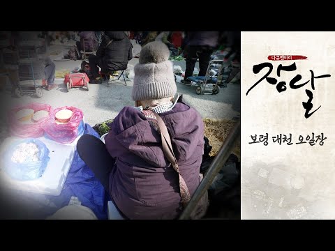대천 오일장 | 천천히 오래 보아야 더 정겨운 대천오일장 | 다큐멘터리 장날 | 대전MBC