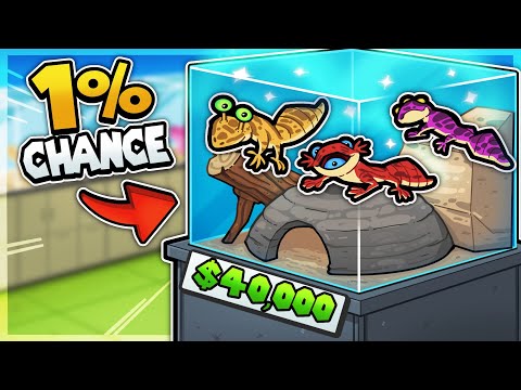 I left my wife to open my own Gecko store