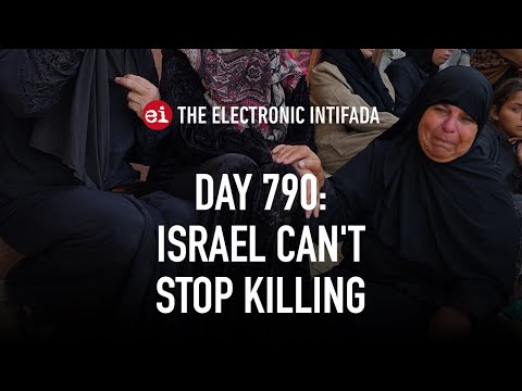 Breaking news and analysis on day 790 of the Gaza genocide | The Electronic Intifada