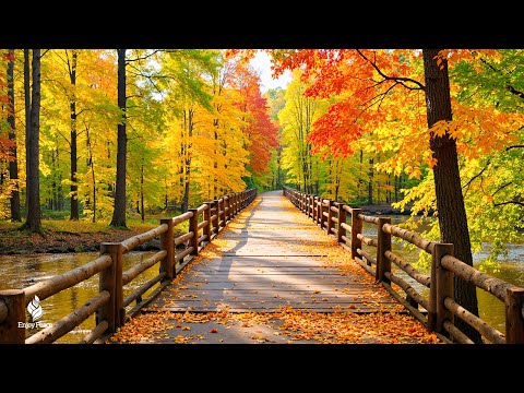 Beautiful Relaxing Music π Autumn Melodies for Stress Relief & Healing