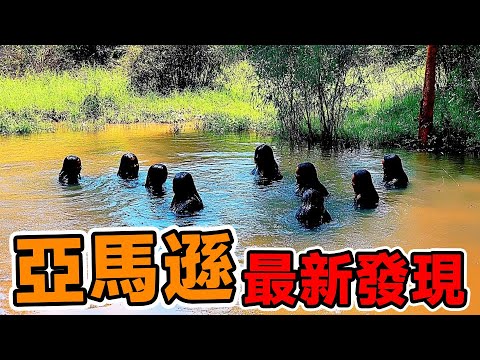 亞馬遜雨林最可怕的12個新發現,人類的禁區,第三名是所有男人的惡夢#腦洞大開#科普#冷知識#top10#世界之最#排名#地球#大自然