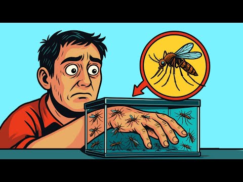 This Is What 1000 Mosquito Bites Would Do to Your Body