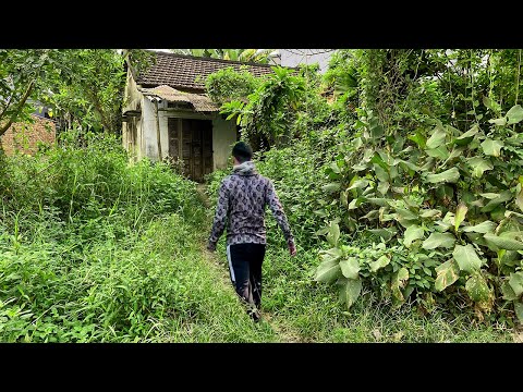 Young man buys house for $1000 to renovate and discovers TERRIBLE SECRET while cleaning