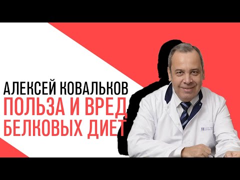 «Есть или не есть», Яна Шварц, Польза и вред белковых диет