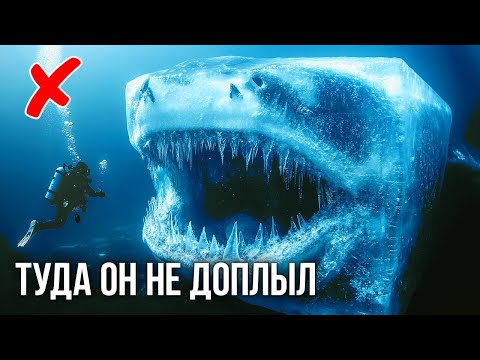 Секреты глубин: почему мегалодон избегал Антарктиду