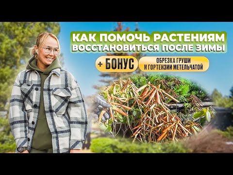 Как помочь растениям восстановиться после зимы