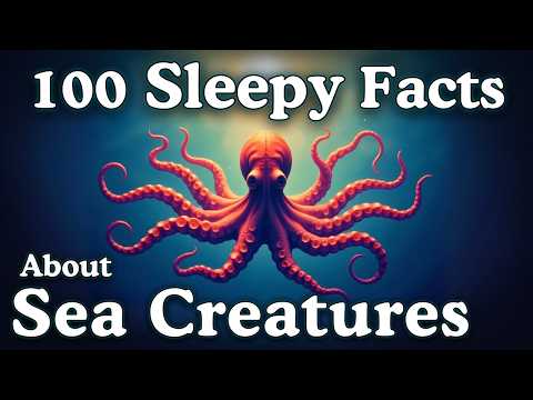 The Most Relaxing Facts About Sea Creatures to Fall Asleep To
