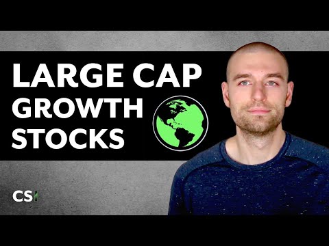 Large Cap Growth Stocks (FB, AMZN, AAPL, GOOGL, MSFT, TSLA)