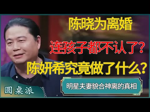 陈晓为离婚连孩子都不认了?陈妍希究竟做了什么? #窦文涛 #梁文道 #马未都 #周轶君 #马家辉 #许子东 #圆桌派 #圆桌派第八季
