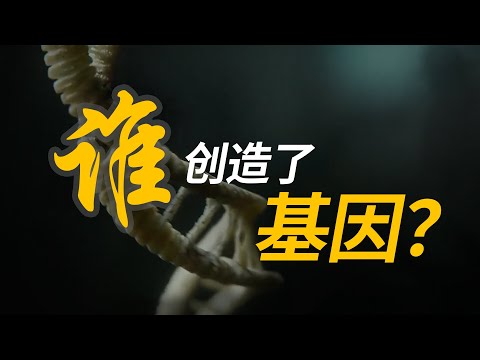 基因是如何出现的?这个演化论最大的难题如今有答案了吗?【生命起源系列-DNA的起源】
