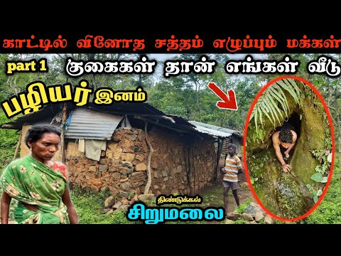 வினோத சத்தம் எழுப்பும் மக்கள் sirumalai paliyar tribal village life #forest #tribal #nature #tamil