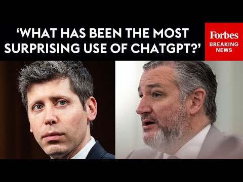 Ted Cruz Grills Sam Altman, Policy Experts, And Democratic Witnesses In The Senate | 2025 Rewind