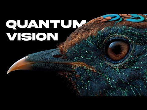 How Birds See What Humans Never Can