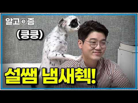 “경찰 같아요..” 설쌤 오자마자 제대로 검문하는 강아지|세상에 나쁜 개는 없다|알고e즘