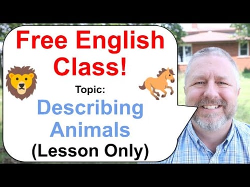 Let's Learn English! Topic: Describing Animals! ππ¦π (Lesson Only)