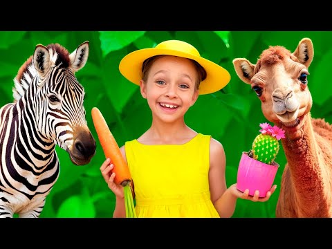 A Canção do Zoológico | O que os Animais Comem?