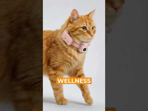 Talk to Your Pet From Anywhere?! GlocalMe’s Latest Is Next Level 🐶🌍