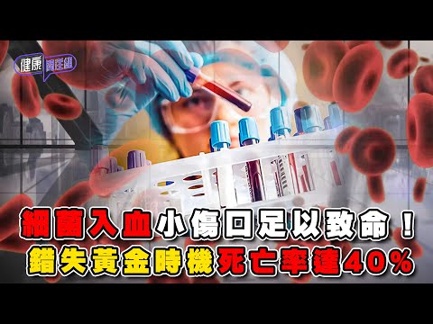 細菌入血小傷口足以致命!錯失黃金時機死亡率達40% | 健康關注組 | EP315 | 敗血症 | 細菌入血 | 敖嘉年 | 朱智賢 | HOY TV 77台