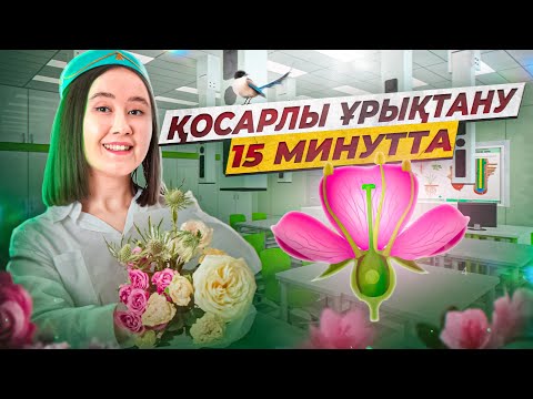 Double fertilization | UNT Biology 2026 | UNT