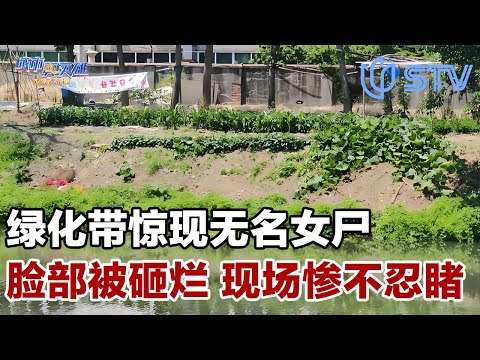 绿化带惊现无名女尸,脸部已被石块砸烂,现场惨不忍睹,20多年后,终于在遗留背包上提取到唯一证据#城市真英雄 FULL