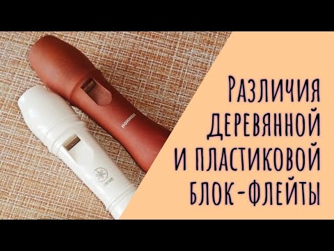 Деревянная и пластиковая флейта, барочная и немецкая система. В чём разница?