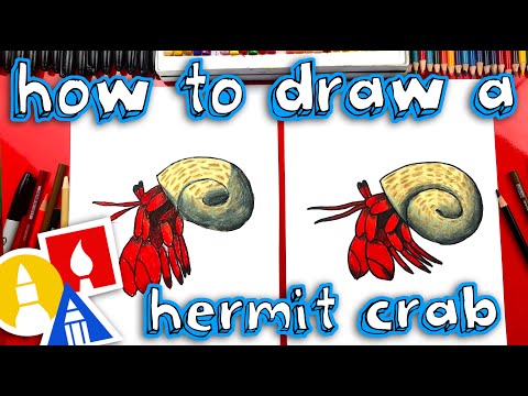 How To Draw A Hermit Crab