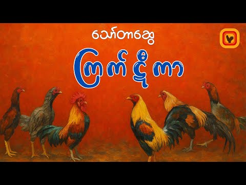 ကြက်ဋီကာ- သော်တာဆွေ