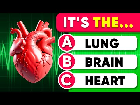 Can You Pass This Human Body Quiz? ๐ง Take This Question Anatomy Quiz! ๐